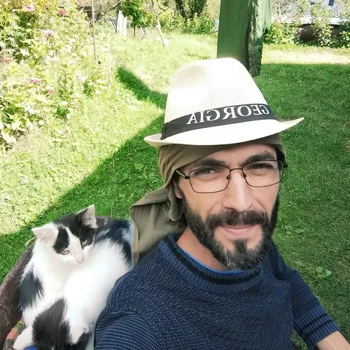 კნუტები WordPress დეველოპემნტში